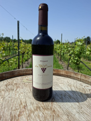 fles-rood-2025-wijngaard-de-linie