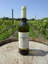 fles-wit-2025-wijngaard-de-linie
