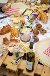 picknick-wijngaard-de-linie