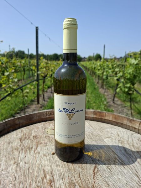 fles-wit-2025-wijngaard-de-linie