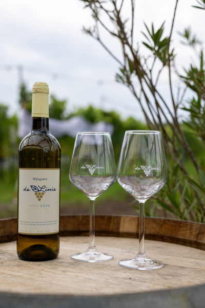 fles wijn uit 2024 met witte wijn van wijngaard De Linie  op een tafel met 2 glazen