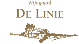 Wijngaard De Linie